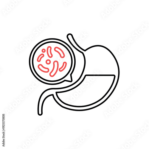 icon stomach microflora with beneficial bacteria inside the digestive organ, isolated against a clean background