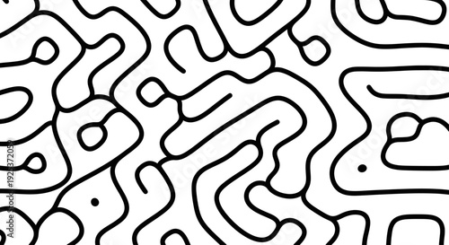 Abstract Organic Black and White Maze Pattern.