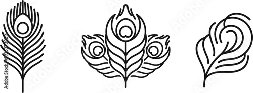 Collection of elegant peacock feather line art icons on a white background