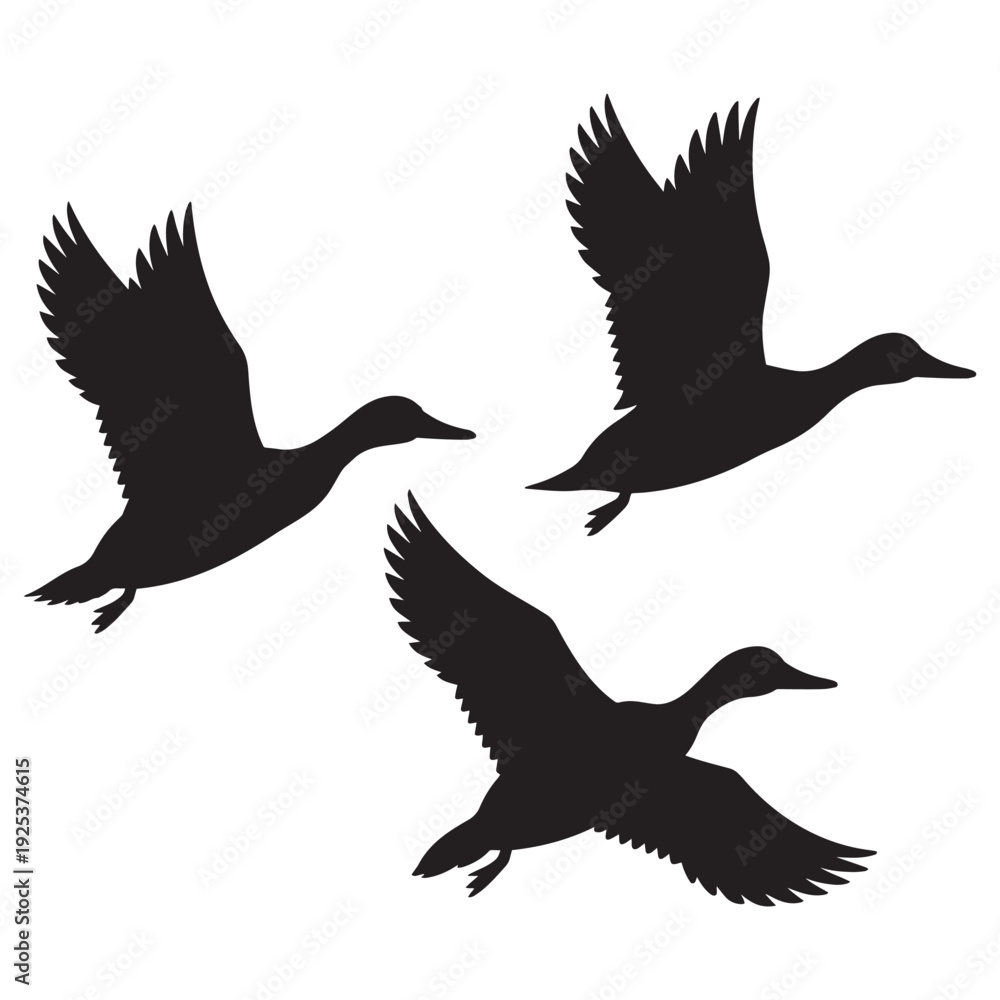 Fototapeta premium Three Ducks Flying in Formation Silhouette Isolated on white background
