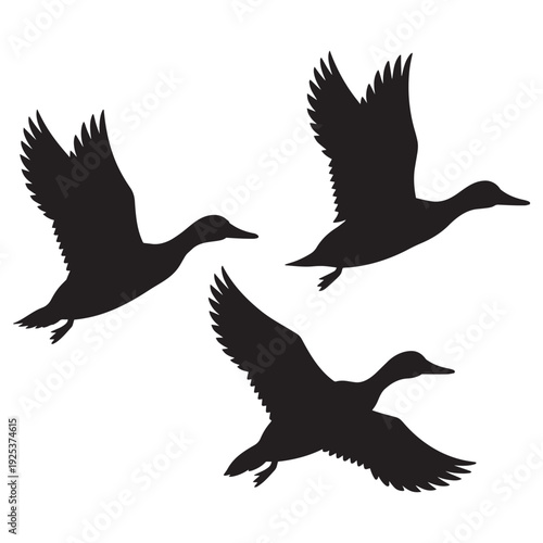 Three Ducks Flying in Formation Silhouette Isolated on white background