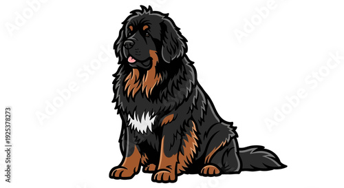 Cute Tibetan Mastiff Dog Sitting Portrait, Adorable Black and Tan Breed, Domestic Animal