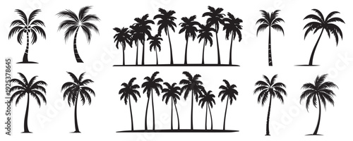 Silhouetted palm tree collection, vector element set
