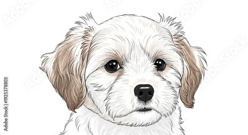 Adorable Fluffy White Puppy Dog Face Close-up Portrait, Cute Pet Animal