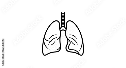 Human Lungs Anatomy Outline Icon - Respiratory System Illustration