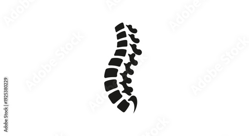 Human Spine Silhouette Icon for Medical and Health Concepts
