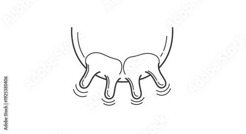 Cow Udder With Teats, Dairy Farming, Livestock, Animal Husbandry, Agriculture