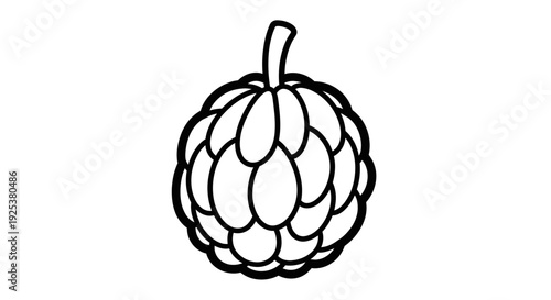 Custard Apple Fruit Outline Icon Vector Illustration
