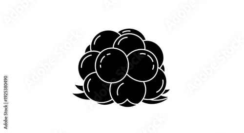 Blackberry Icon Silhouette: Fresh Berry Cluster on White Background