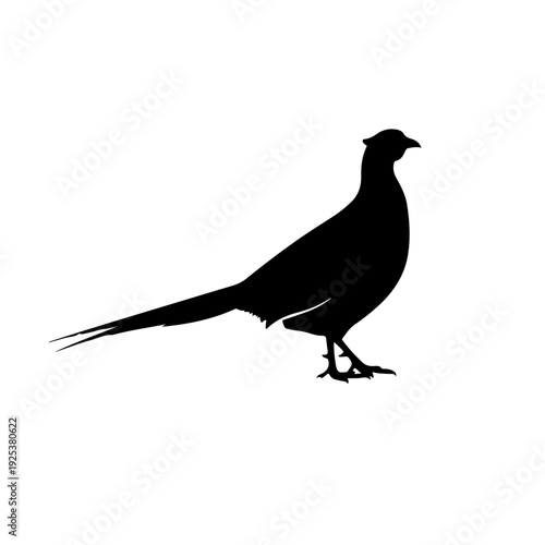 Silhouette of a bird standing alone on white background, minimalist black silhouette design