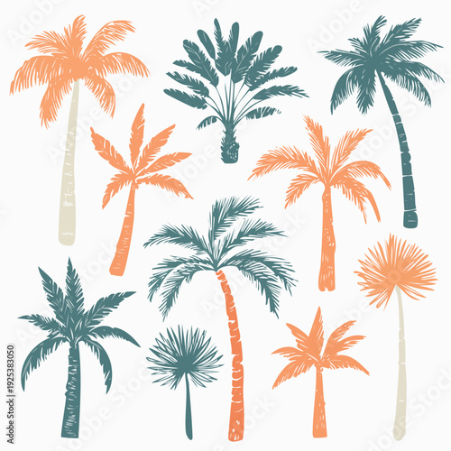 Collection of assorted palm trees illustration in a tropical setting viewed from directly above