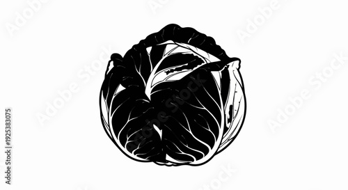 Black and white graphic illustration of a head of cabbage