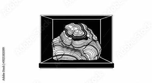 Black and white illustration of a specimen inside a geometric display case