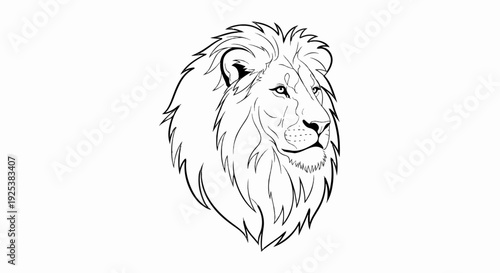 A bold, line-drawn illustration of a lion's majestic head with flowing mane