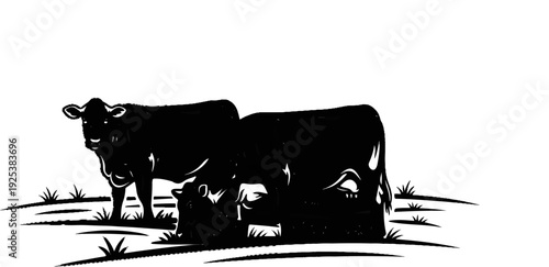Two black cows standing in a grassy field with a white background