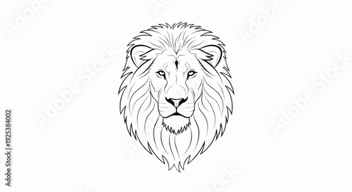 Stylized line art drawing of a lion's face with a flowing mane