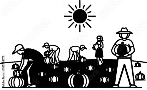 People harvesting pumpkins under a bright sun in a field