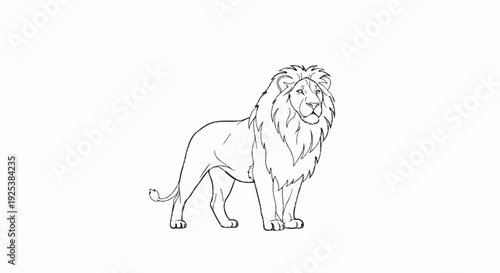 A detailed line drawing of a majestic male lion standing with a full mane