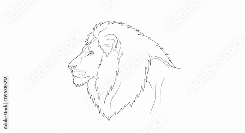 Majestic lion's head depicted in a detailed line art profile