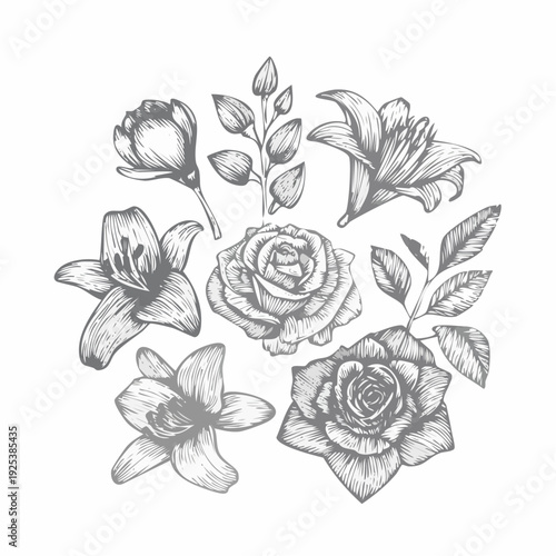 A delicate illustration of various flowers and leaves arranged in a circular pattern from a frontal viewpoint