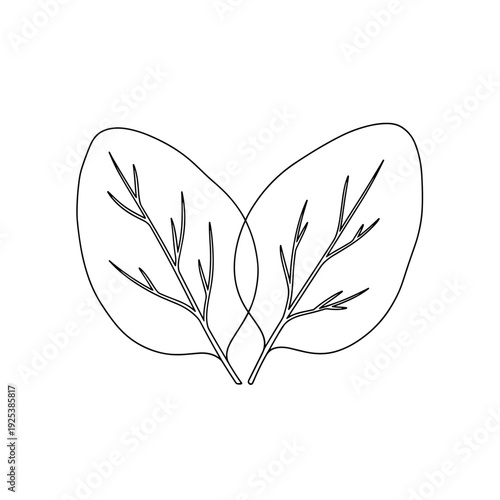 Minimalist line drawing of two spinach leaves, perfect for healthy eating concepts.