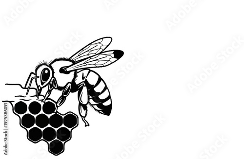 Detailed illustration of a bee working on a honeycomb structure