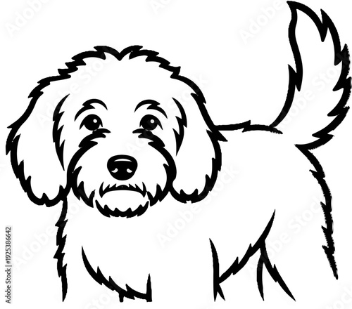 Outline of a fluffy, medium-sized dog with floppy ears, wagging tail