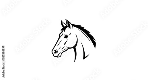 Stylized Horse Head Illustration Black and White Graphic Design