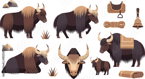 Yak Animal Vector Collection Domestic Himalayan Cattle with Saddle Rope Bell and Mountain Elements for Agriculture and Nomadic Life Design.