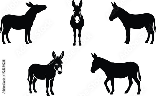 Donkey silhouette set different poses farm animal mule burro black isolated vector illustration collection for agriculture branding