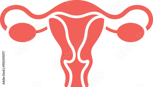 A graphic illustration of the female reproductive system anatomy
