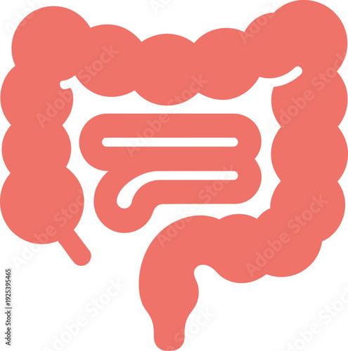 A graphic illustration of the human digestive system anatomy