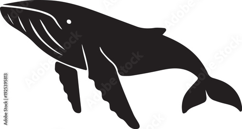 Black humpback whale silhouette illustration