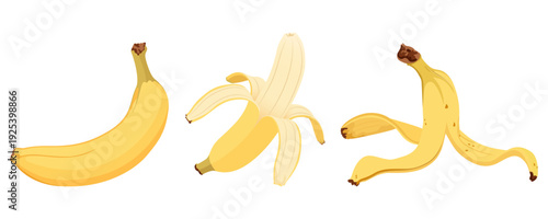 Simple banana with unpeeled and peeled banana skin. Flat hand drawn banana.