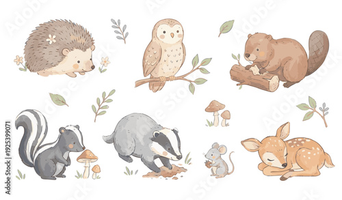 Woodland animals set. Cute hedgehog owl beaver skunk badger mouse deer arts, Collection of Vector illustrations. Perfect for invitation, card, poster, banner, decoration