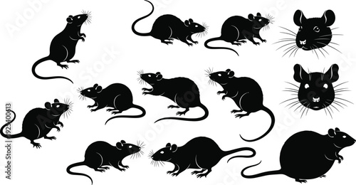 Rat silhouette collection showing multiple poses isolated rodent pest animal vector illustration set