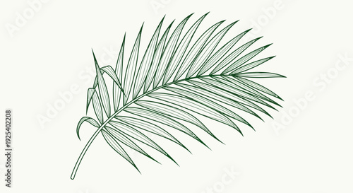 Elegant Green Palm Frond Silhouette on Light Background
