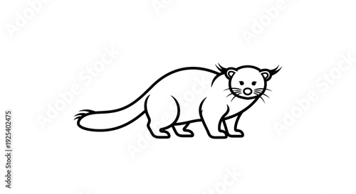 Cute cartoon civet cat illustration, simple line art, isolated on white background