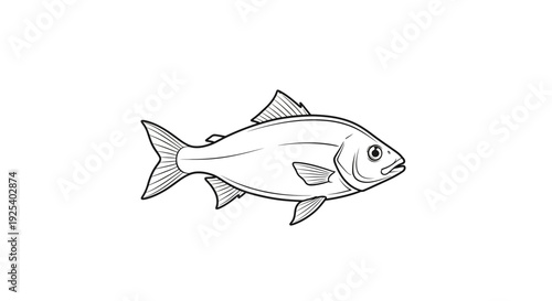 Black and White Line Drawing of a Fish, Isolated on White Background