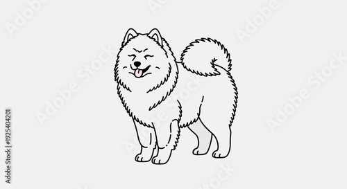 Cute Samoyed Dog Line Art Illustration, Happy Expression, Tongue Out, Fluffy White Fur, Curled Tail