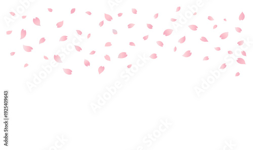Cherry Blossom Petals Falling Isolated On White Background. Sakura Flower Rain Overlay. Pink Spring Floral Blossom Pattern. Japanese Hanami Wallpaper. Nature Vector Illustration. Lovely Banner Design