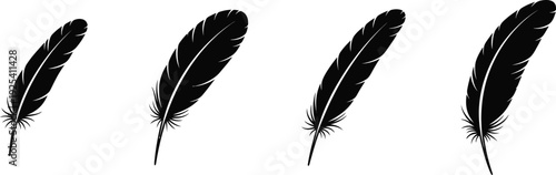 A set of black feathers on a white background