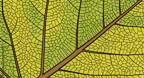 Abstract vibrant leaf venation network showcasing organic cellular structure in natural green and yellow gradients