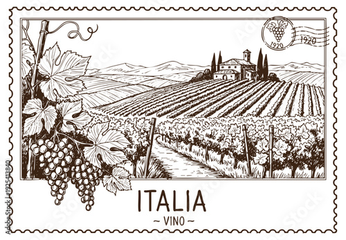 Hand Drawn Vineyard Illustration – Rustic Wine Yard Landscape with Vines and Countryside Charm, Italy postcard