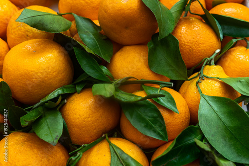 Fresh mandarins with green leaves. Close up of ripe mandarins with vibrant peel and attached leaves freshly harvested and full of natural texture