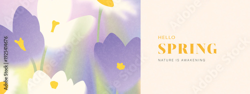 Elegant spring banner template with copy space, featuring soft blurred purple crocus flowers and daisies in a modern artistic style with a grainy texture, for seasonal sales, promotions