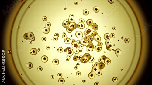 Abstract molecular cell gold background. Rapid proliferation are merging or breaking. Close-up photo or view through microscope. Abstract background for video about medical and scientific. 3D Render.
