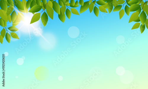Spring_Green_Leaves