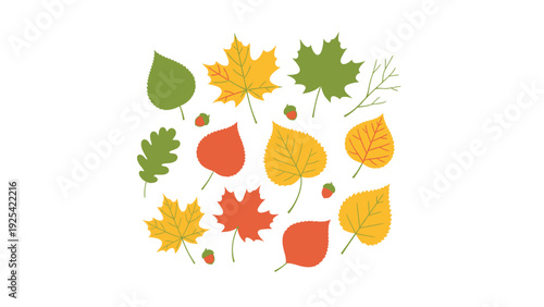 Colorful assortment of autumn leaves and berries on a white background