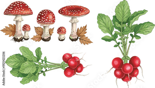 Illustration of Red Mushrooms and Radishes with Leaves, Perfect for Autumn, Nature, and Food Design Themes